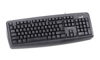 Genius KB-110X (31300710101) Genius KB-110X (31300710101)